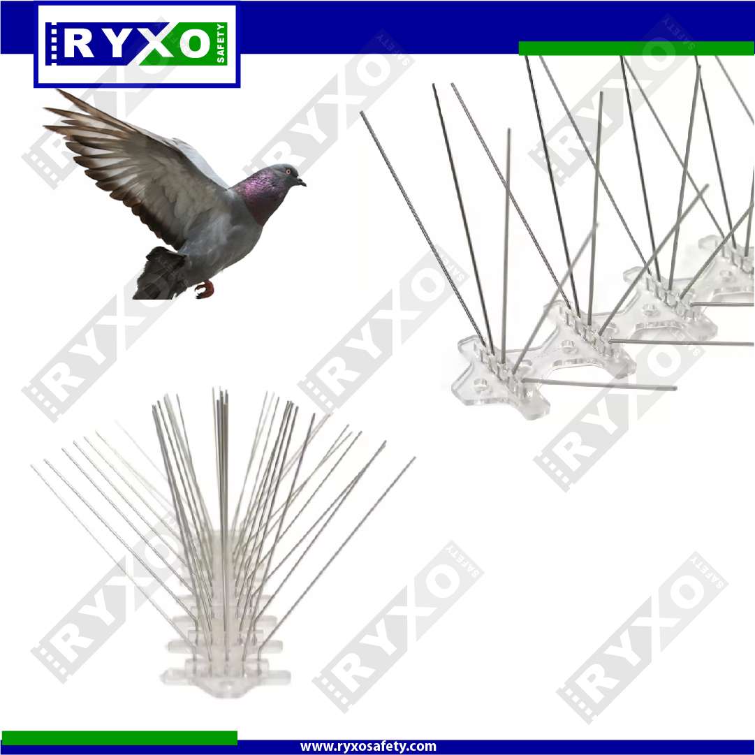 BIRD SPIKE SUPPLIER IN ABUDHABI , UAE BY RYXO SAFETY